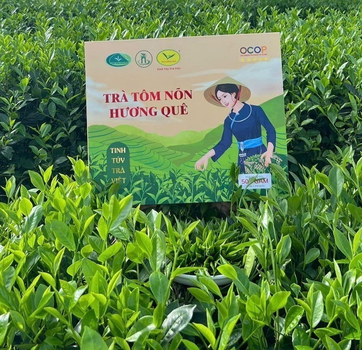 Muốn xuất khẩu, phải bắt đầu từ vùng nguyên liệu